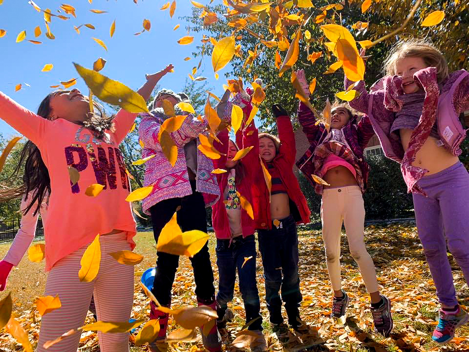 mac standard (2) The McClelland School